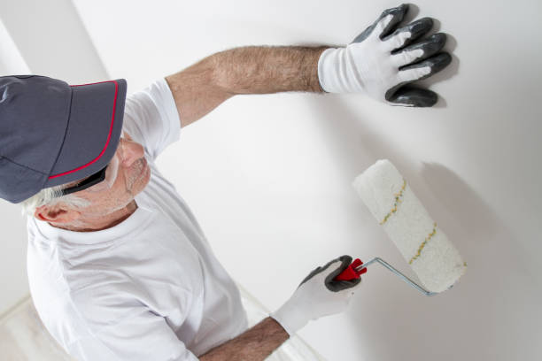 Best Water-Damaged Drywall Repair  in De Leon Springs, FL